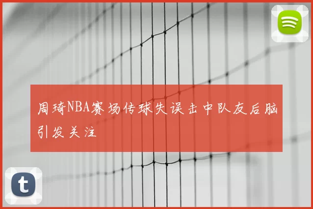 周琦NBA赛场传球失误击中队友后脑引发关注