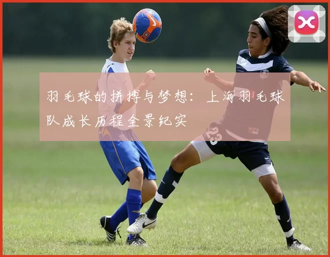 羽毛球的拼搏与梦想：上海羽毛球队成长历程全景纪实