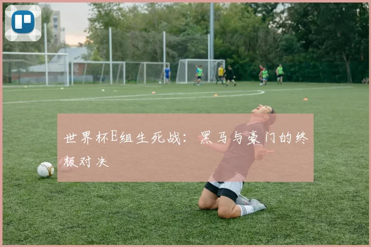 世界杯E组生死战:黑马与豪门的终极对决
