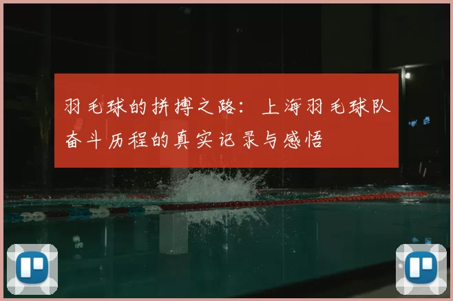 羽毛球的拼搏之路:上海羽毛球队奋斗历程的真实记录与感悟