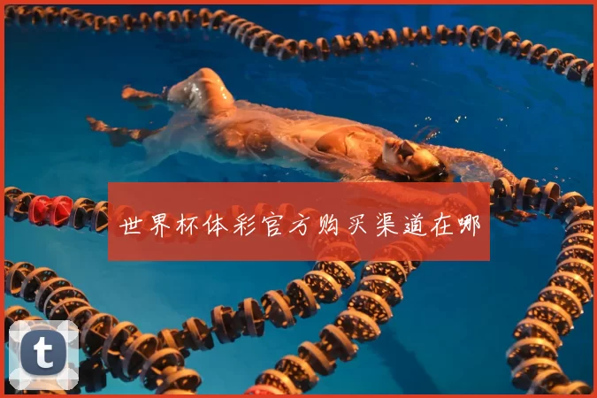 世界杯体彩官方购买渠道在哪