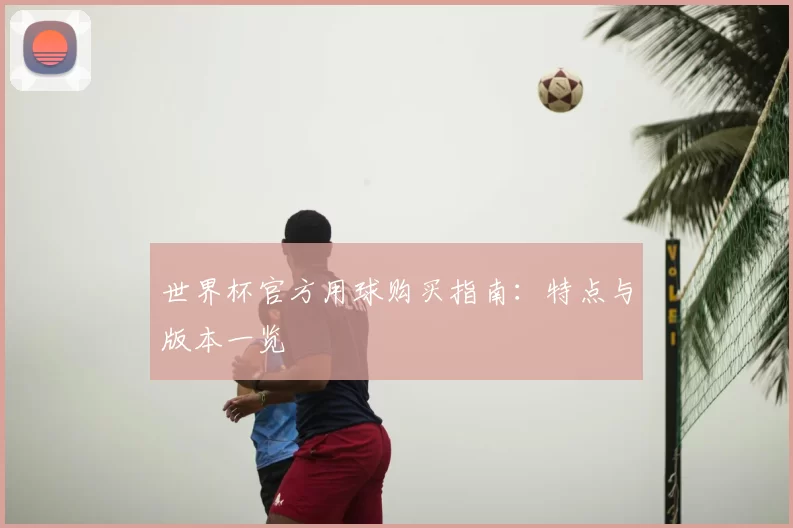 世界杯官方用球购买指南：特点与版本一览