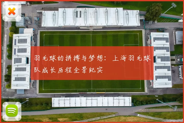 羽毛球的拼搏与梦想：上海羽毛球队成长历程全景纪实