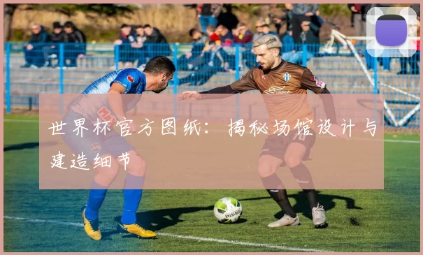 世界杯官方图纸：揭秘场馆设计与建造细节