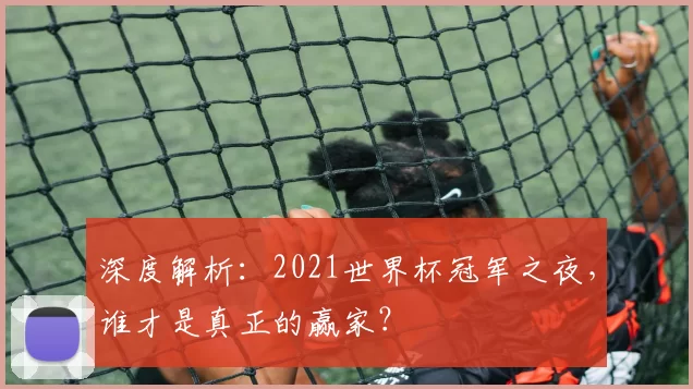 深度解析:2021世界杯冠军之夜,谁才是真正的赢家?