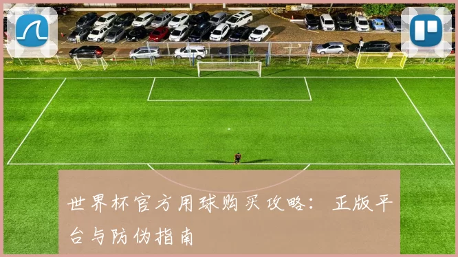 世界杯官方用球购买攻略：正版平台与防伪指南